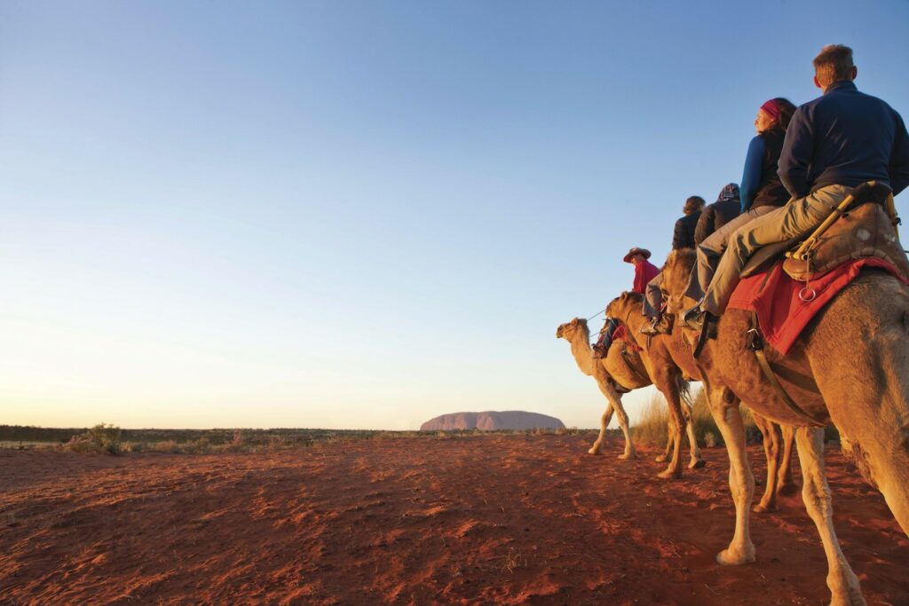 camel tours south australia